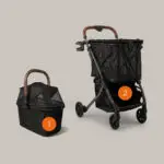 Stability Pet Bundle